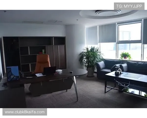 全面解析k8凯发数字站的游戏规则与玩法策略帮助新手快速入门 全面解析k8凯发数字站的游戏规则与玩法策略帮助新手快速入门