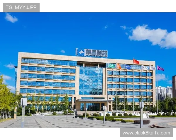 凯发K8旗舰厅登录线路优化方案,助力玩家快速登录平台享受高品质线上娱乐体验 凯发K8旗舰厅登录线路优化方案,助力玩家快速登录平台享受高品质线上娱乐体验